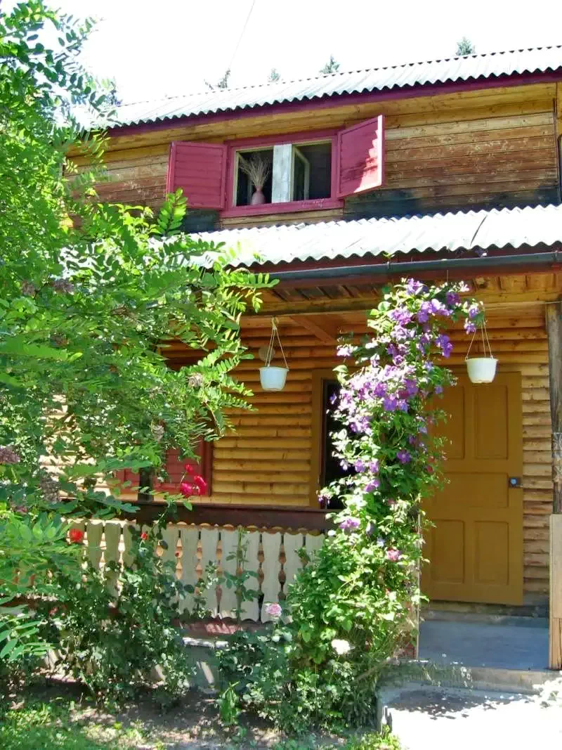 Băile Homorod - Casa de vacanță Magyari Réka|Homoródfürdő - Magyari Réka Kulcsosház Homoródfürdő 548356 thumb