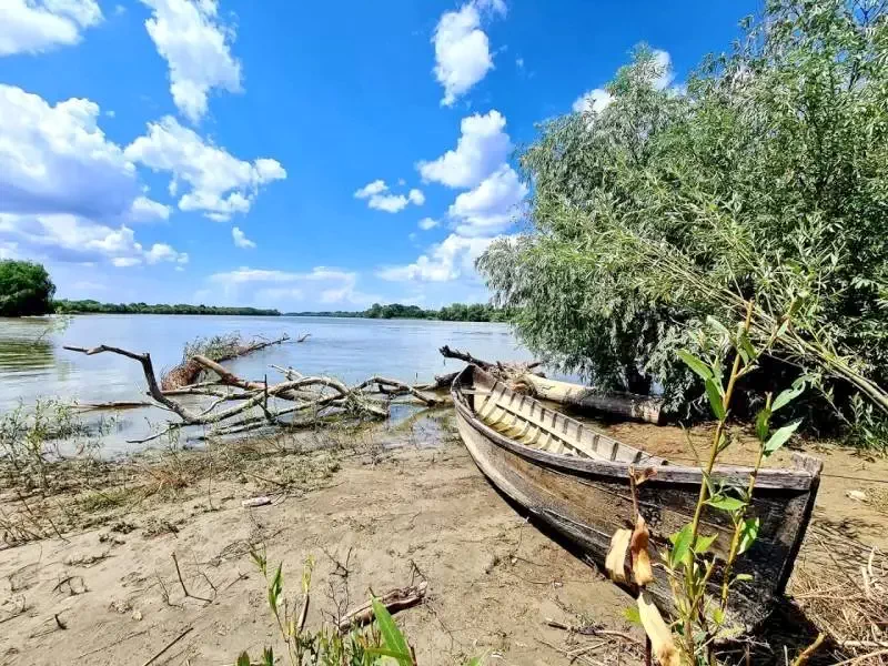 Baltenii de Sus - Casa lui Matei*** | Baltenii de Sus - Matei Háza Panzió*** Băltenii de Sus 567342 thumb