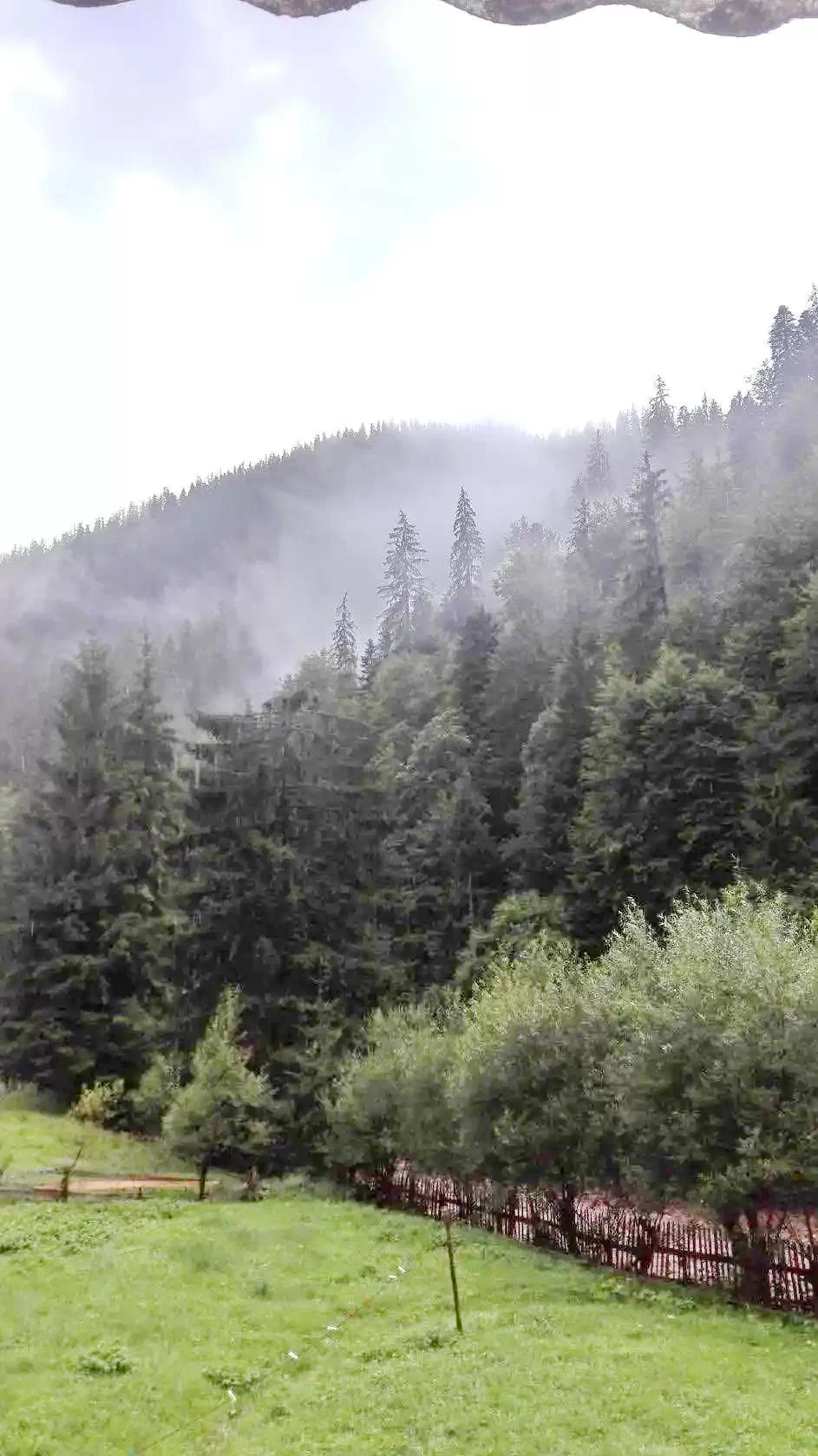 Felsőgirda Szállás | Motel (K0492-14) A kép szerzői jogvédelem alatt állhat. Javasolt a kapcsolatfelvétel a jog tulajdonossal.