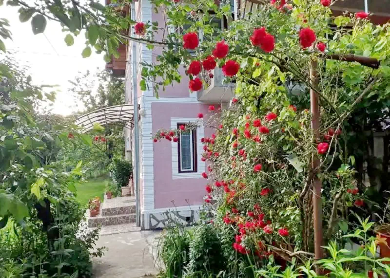 Albac Cazare | Motel (K0031-1) Imaginea poate fi supusă drepturilor de autor. Se recomandă contactarea titularului drepturilor.