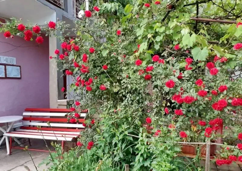 Fehérvölgy Szállás | Motel (K0031-2) A kép szerzői jogvédelem alatt állhat. Javasolt a kapcsolatfelvétel a jog tulajdonossal.