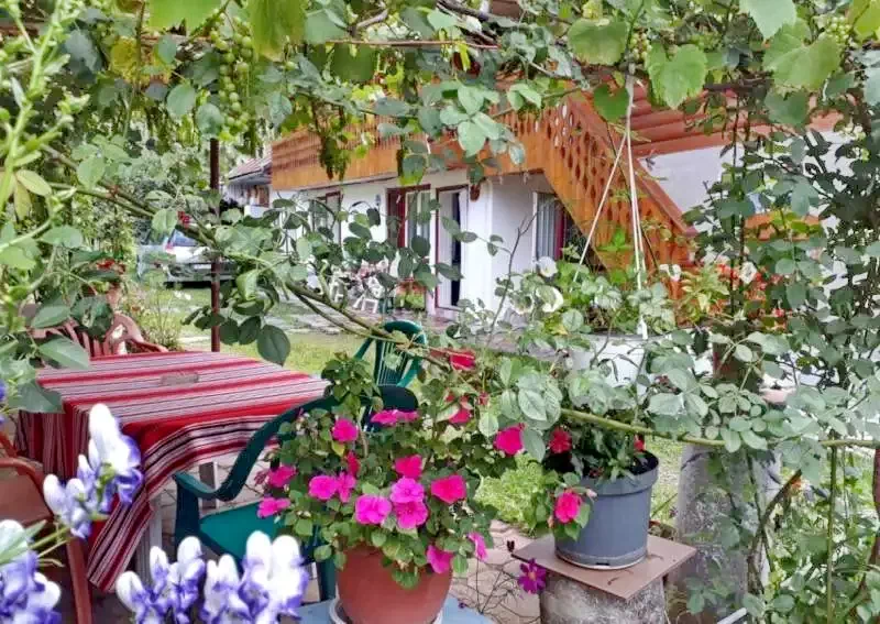 Fehérvölgy Szállás | Motel (K0031-3) A kép szerzői jogvédelem alatt állhat. Javasolt a kapcsolatfelvétel a jog tulajdonossal.