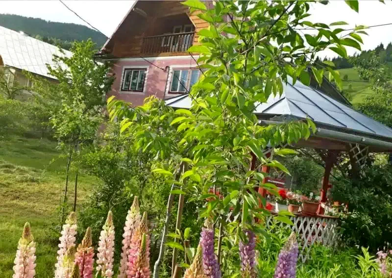 Albac Cazare | Motel (K0031-8) Imaginea poate fi supusă drepturilor de autor. Se recomandă contactarea titularului drepturilor.