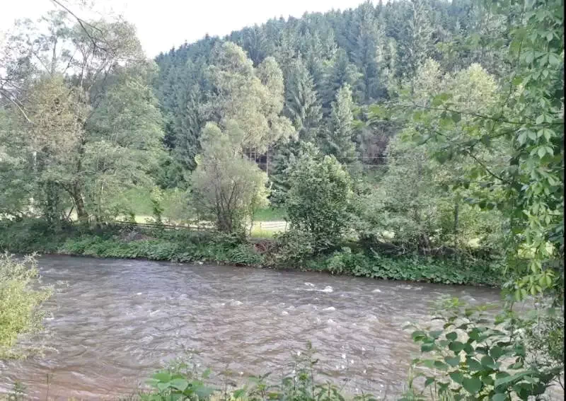 Fehérvölgy Szállás | Motel (K0031-18) A kép szerzői jogvédelem alatt állhat. Javasolt a kapcsolatfelvétel a jog tulajdonossal.