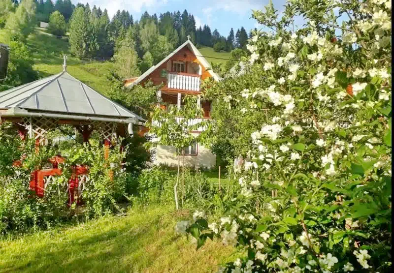 Albac Cazare | Motel (K0031-30) Imaginea poate fi supusă drepturilor de autor. Se recomandă contactarea titularului drepturilor.