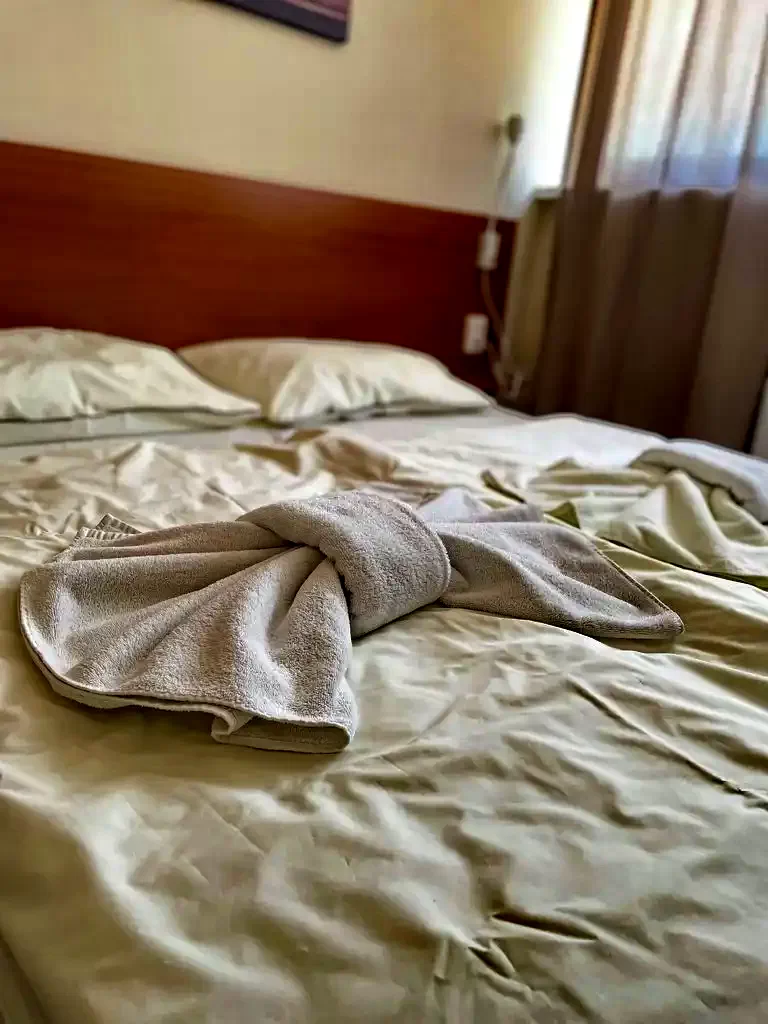  Cazare | Pensiune turistică (K1085-24) Imaginea poate fi supusă drepturilor de autor. Se recomandă contactarea titularului drepturilor.