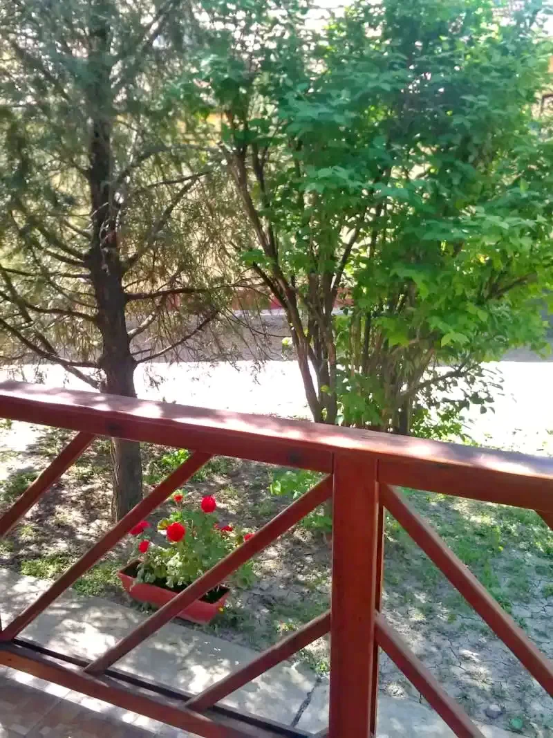 Hajdúszoboszló Szállás | Üdülőfalu (K0589-13) A kép szerzői jogvédelem alatt állhat. Javasolt a kapcsolatfelvétel a jog tulajdonossal.