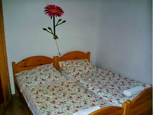  Cazare | Sat de vacanță (K0669-7) Imaginea poate fi supusă drepturilor de autor. Se recomandă contactarea titularului drepturilor.