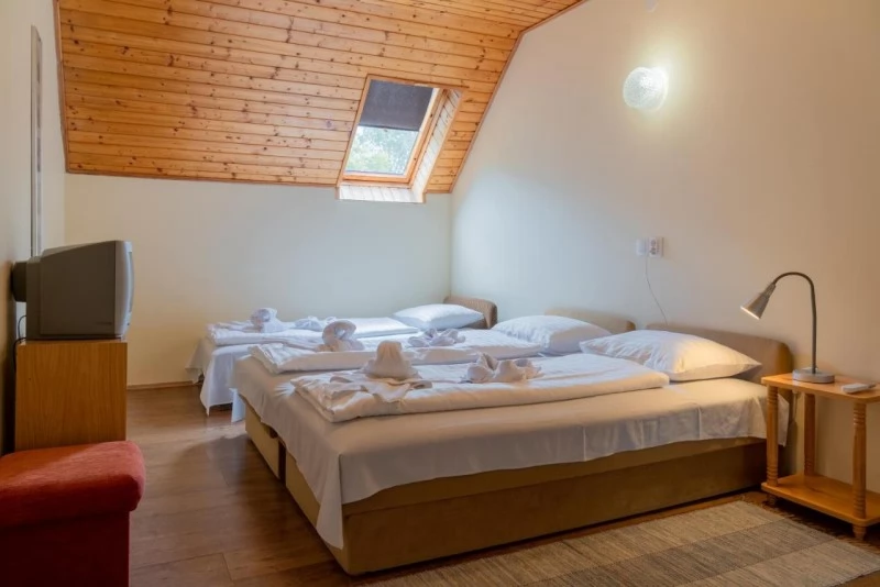  Cazare | Motel (K1047-18) Imaginea poate fi supusă drepturilor de autor. Se recomandă contactarea titularului drepturilor.