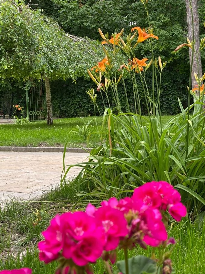  Cazare | Hotel**** (K1048-3) Imaginea poate fi supusă drepturilor de autor. Se recomandă contactarea titularului drepturilor.