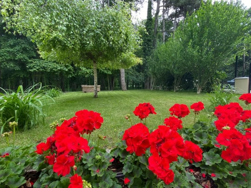  Cazare | Hotel**** (K1048-4) Imaginea poate fi supusă drepturilor de autor. Se recomandă contactarea titularului drepturilor.