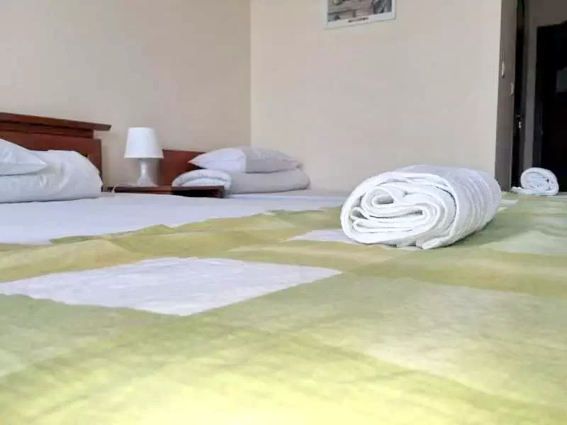  Cazare | Pensiune turistică (K1050-10) Imaginea poate fi supusă drepturilor de autor. Se recomandă contactarea titularului drepturilor.