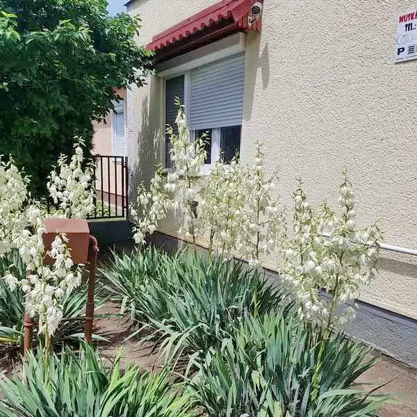 Hajdúszoboszló Cazare | Bungalow (K0915-1) Imaginea poate fi supusă drepturilor de autor. Se recomandă contactarea titularului drepturilor.