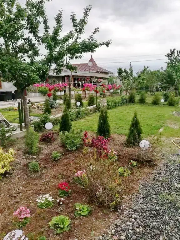 Tulcea Cazare | Motel (K1312-33) Imaginea poate fi supusă drepturilor de autor. Se recomandă contactarea titularului drepturilor.