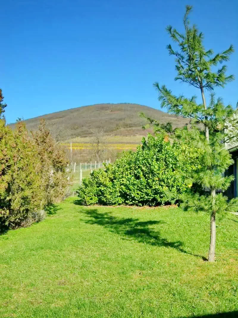 Legyesbénye Szállás | Hotel**** (K0834-11) A kép szerzői jogvédelem alatt állhat. Javasolt a kapcsolatfelvétel a jog tulajdonossal.