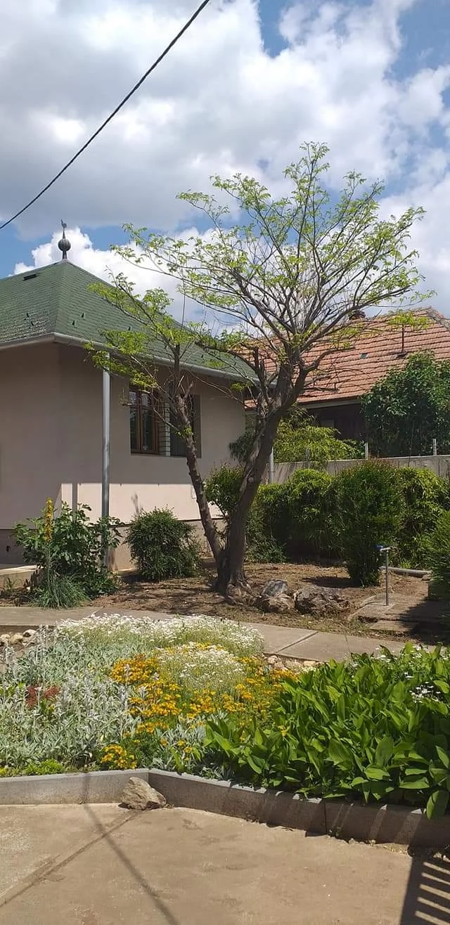  Cazare | Hotel**** (K0834-25) Imaginea poate fi supusă drepturilor de autor. Se recomandă contactarea titularului drepturilor.