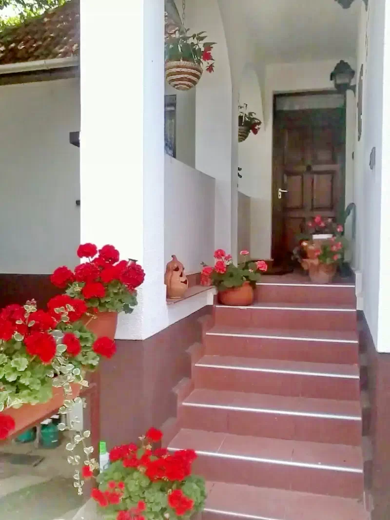 Hajdúszoboszló Szállás | Hotel**** (K1025-8) A kép szerzői jogvédelem alatt állhat. Javasolt a kapcsolatfelvétel a jog tulajdonossal.