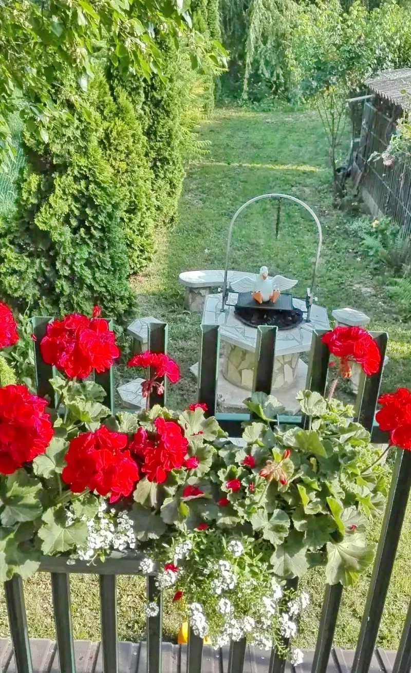 Hajdúszoboszló Szállás | Hotel**** (K1025-15) A kép szerzői jogvédelem alatt állhat. Javasolt a kapcsolatfelvétel a jog tulajdonossal.