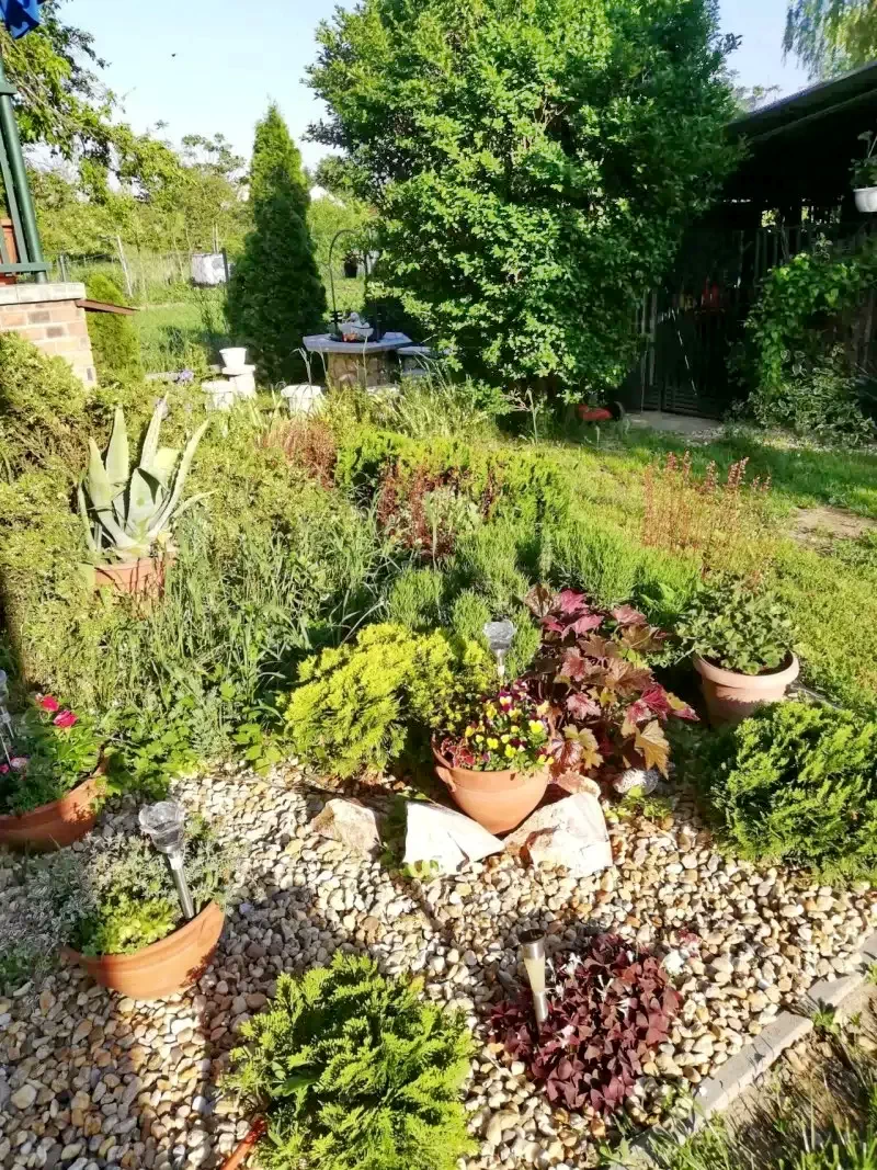  Cazare | Hotel**** (K1025-29) Imaginea poate fi supusă drepturilor de autor. Se recomandă contactarea titularului drepturilor.