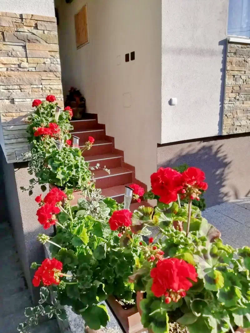 Hajdúszoboszló Szállás | Hotel**** (K1025-34) A kép szerzői jogvédelem alatt állhat. Javasolt a kapcsolatfelvétel a jog tulajdonossal.