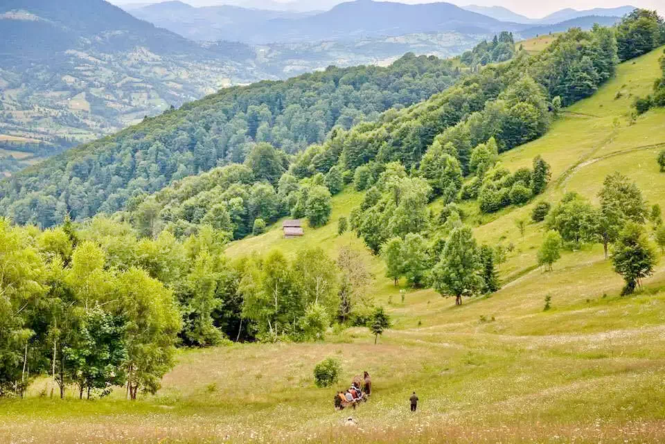 Valea Vinului Cazare | Casă de oaspeți (K1257-36) Imaginea poate fi supusă drepturilor de autor. Se recomandă contactarea titularului drepturilor.