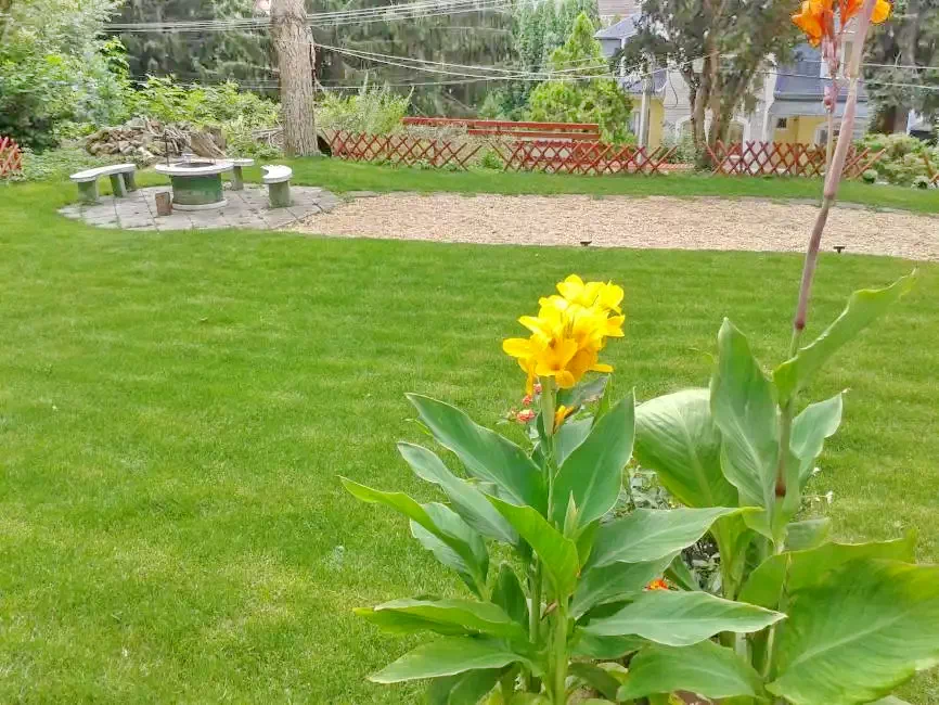 Mișcolț Cazare | Bungalow (K0666-4) Imaginea poate fi supusă drepturilor de autor. Se recomandă contactarea titularului drepturilor.