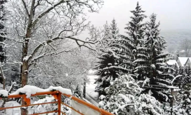 Mișcolț Cazare | Bungalow (K0666-5) Imaginea poate fi supusă drepturilor de autor. Se recomandă contactarea titularului drepturilor.