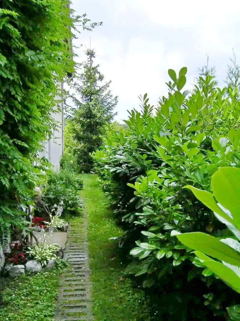 Mișcolț Cazare | Bungalow (K0859-15) Imaginea poate fi supusă drepturilor de autor. Se recomandă contactarea titularului drepturilor.