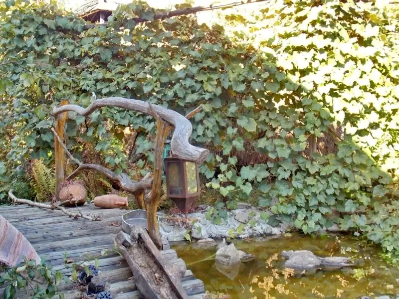 Alsóróna Szállás | Motel (K0749-15) A kép szerzői jogvédelem alatt állhat. Javasolt a kapcsolatfelvétel a jog tulajdonossal.