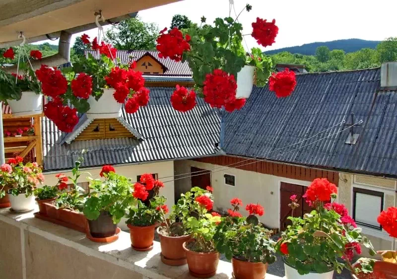 Alsóróna Szállás | Motel (K0749-33) A kép szerzői jogvédelem alatt állhat. Javasolt a kapcsolatfelvétel a jog tulajdonossal.