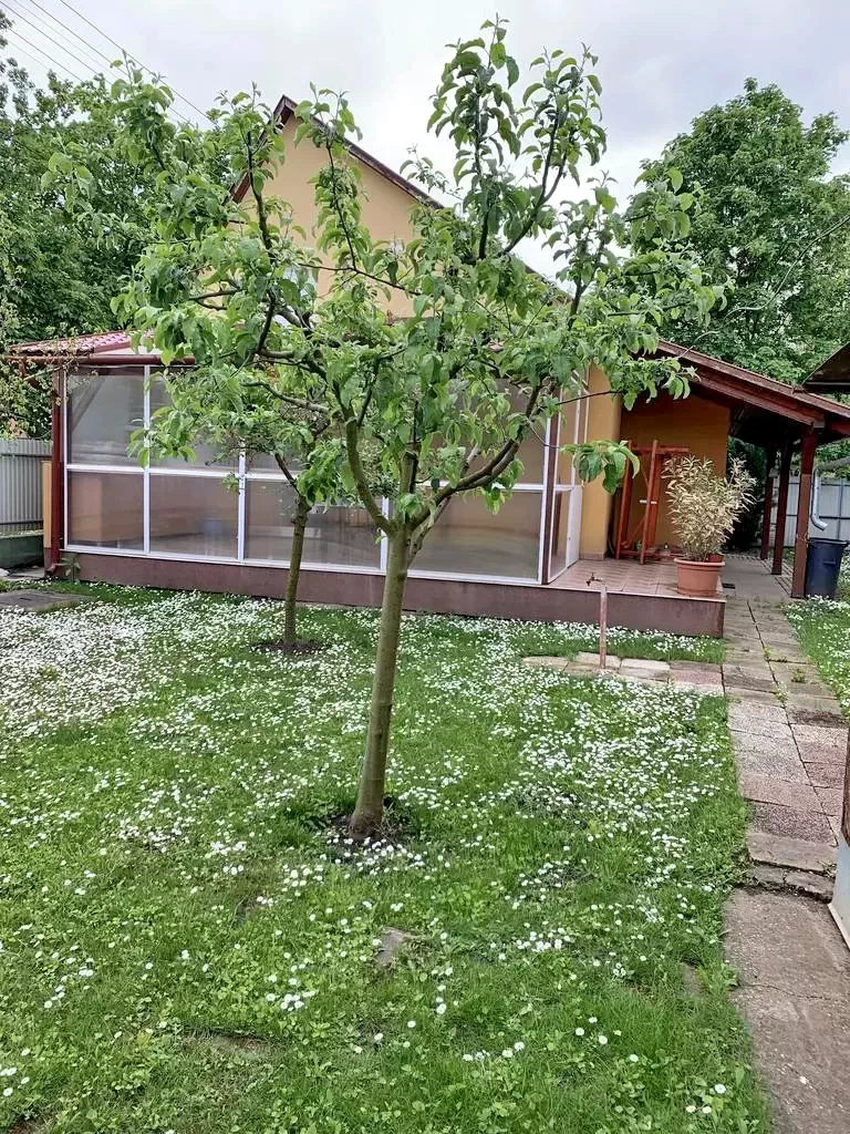 Hajdúszoboszló Szállás | Üdülőfalu (K0014-20) A kép szerzői jogvédelem alatt állhat. Javasolt a kapcsolatfelvétel a jog tulajdonossal.