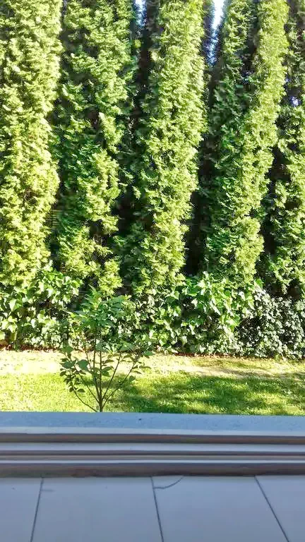 Mișcolț Cazare | Hotel**** (K0812-12) Imaginea poate fi supusă drepturilor de autor. Se recomandă contactarea titularului drepturilor.