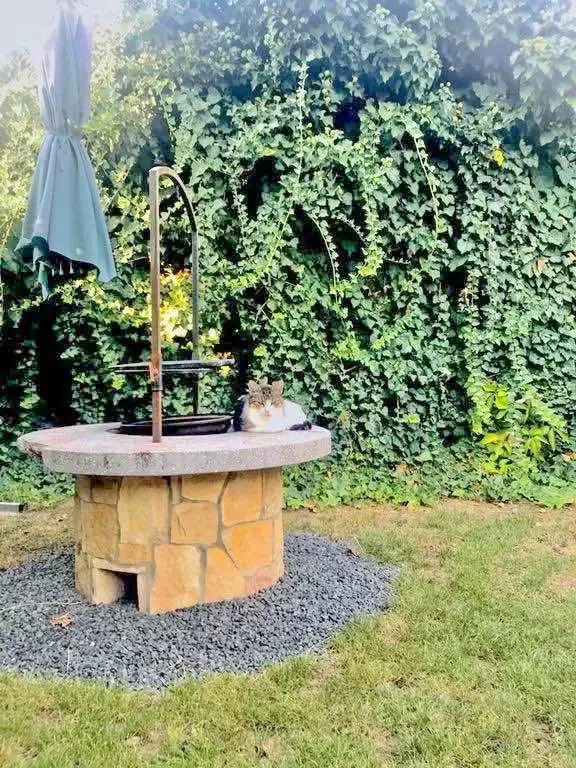 Hajdúszoboszló Szállás | Apartmanház (K1029-1) A kép szerzői jogvédelem alatt állhat. Javasolt a kapcsolatfelvétel a jog tulajdonossal.