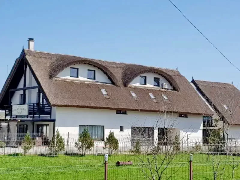 Crișan Szállás | Panzió (K1330-16) A kép szerzői jogvédelem alatt állhat. Javasolt a kapcsolatfelvétel a jog tulajdonossal.