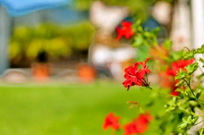 Eforie Nord Cazare | Camping / Popas turistic (K1322-13) Imaginea poate fi supusă drepturilor de autor. Se recomandă contactarea titularului drepturilor.