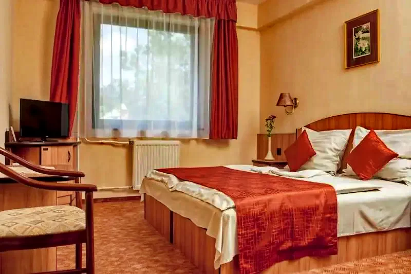 Budapesta Cazare | Hotel*** (K0504-30) Imaginea poate fi supusă drepturilor de autor. Se recomandă contactarea titularului drepturilor.