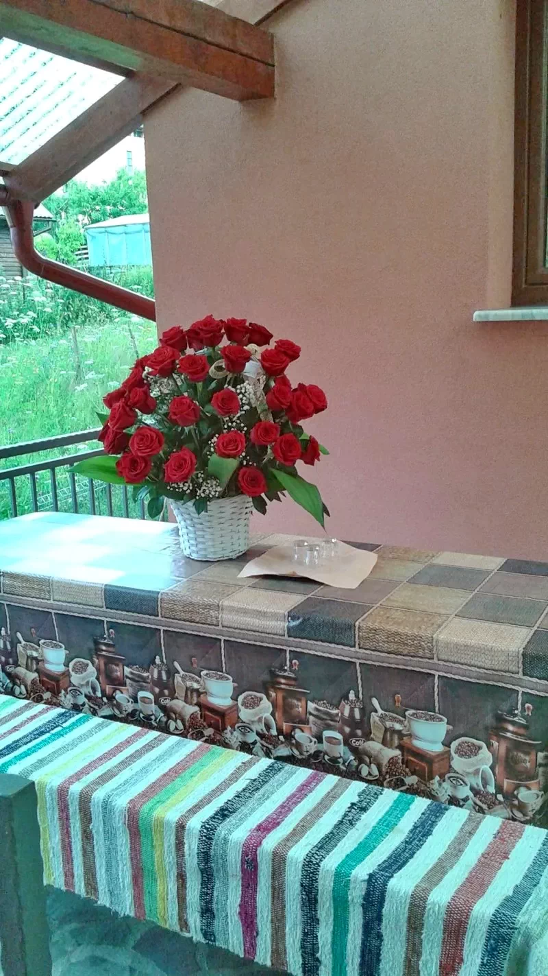 Borșa Cazare | Motel (K0990-24) Imaginea poate fi supusă drepturilor de autor. Se recomandă contactarea titularului drepturilor.