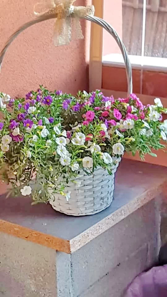 Borșa Cazare | Motel (K0990-26) Imaginea poate fi supusă drepturilor de autor. Se recomandă contactarea titularului drepturilor.