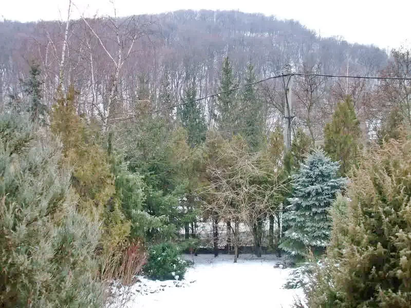 Mișcolț Cazare | Motel (K0882-2) Imaginea poate fi supusă drepturilor de autor. Se recomandă contactarea titularului drepturilor.