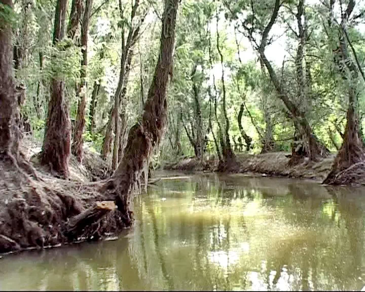 Tulcsa Szállás | Turisztikai panzió (K1305-37) A kép szerzői jogvédelem alatt állhat. Javasolt a kapcsolatfelvétel a jog tulajdonossal.