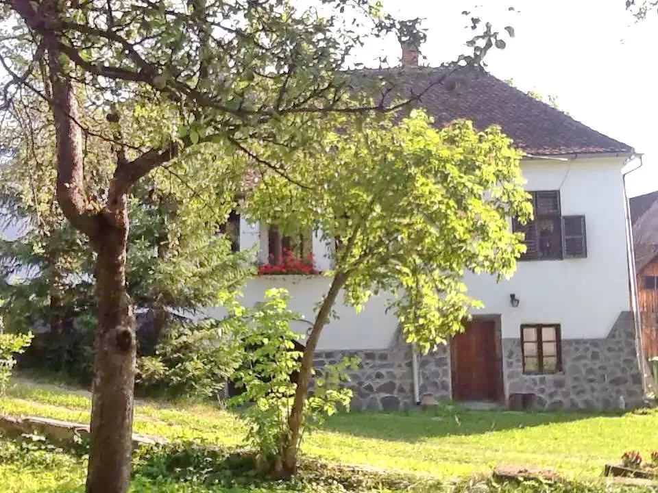 Szállás  Bățanii Mici - Casa Melinda 1903 | Kisbacon - Melinda 1903 Vendégház. A kép szerzői jogvédelem alatt állhat. Javasolt a kapcsolatfelvétel a jog tulajdonossal.