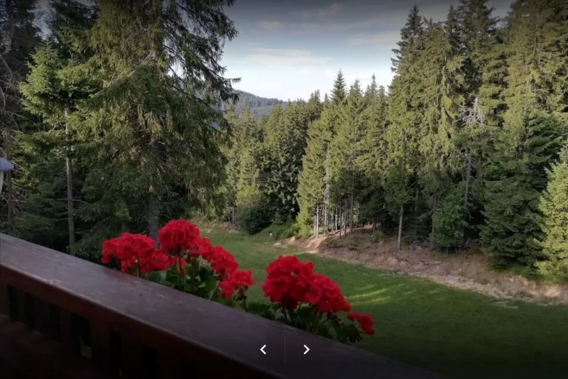 Hargitafürdő Szállás | Motel (K1135-19) A kép szerzői jogvédelem alatt állhat. Javasolt a kapcsolatfelvétel a jog tulajdonossal.