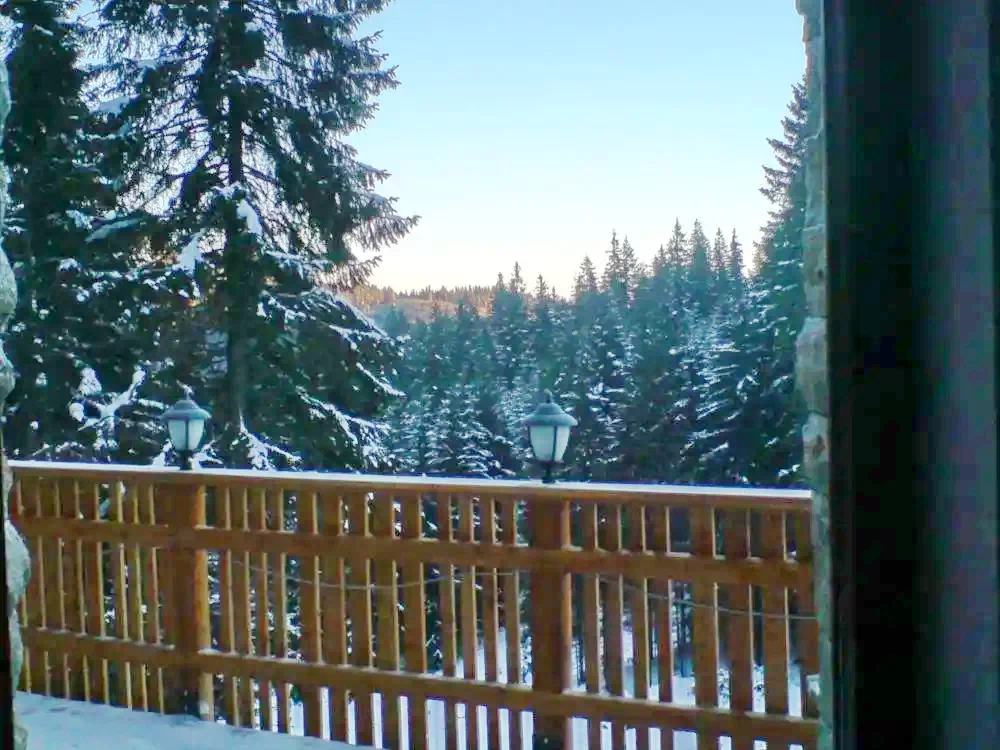 Hargitafürdő Szállás | Motel (K1135-34) A kép szerzői jogvédelem alatt állhat. Javasolt a kapcsolatfelvétel a jog tulajdonossal.