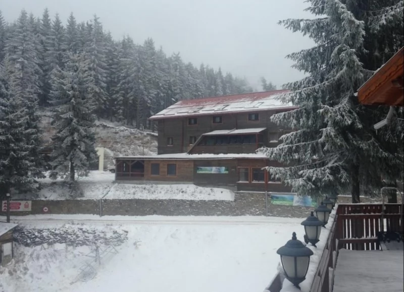 Hargitafürdő Szállás | Motel (K1135-40) A kép szerzői jogvédelem alatt állhat. Javasolt a kapcsolatfelvétel a jog tulajdonossal.