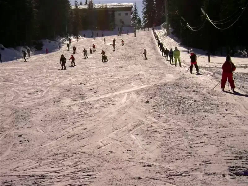 Hargitafürdő Szállás | Motel (K1135-43) A kép szerzői jogvédelem alatt állhat. Javasolt a kapcsolatfelvétel a jog tulajdonossal.