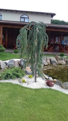 Kisapold Szállás | Turisztikai panzió (K0872-47) A kép szerzői jogvédelem alatt állhat. Javasolt a kapcsolatfelvétel a jog tulajdonossal.