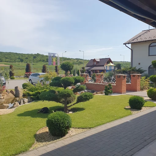 Apoldu de Jos Cazare | Pensiune turistică (K0872-50) Imaginea poate fi supusă drepturilor de autor. Se recomandă contactarea titularului drepturilor.