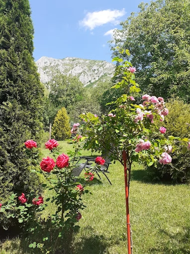 Szállás Rimetea - Pensiunea Duló Annamária | Torockó - Duló Annamária Panzió. A kép szerzői jogvédelem alatt állhat. Javasolt a kapcsolatfelvétel a jog tulajdonossal.