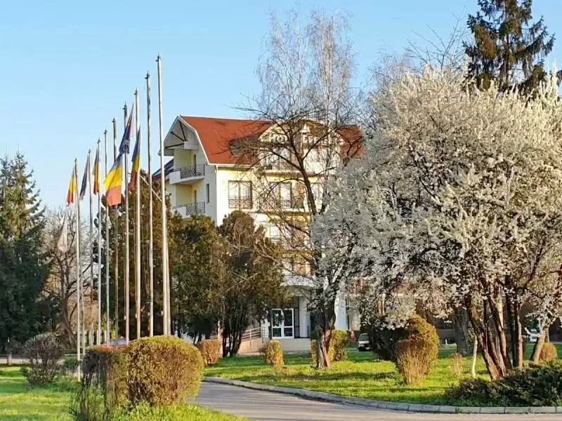 Târgu Mureș Cazare | Hotel*** (K1345-29) Imaginea poate fi supusă drepturilor de autor. Se recomandă contactarea titularului drepturilor.