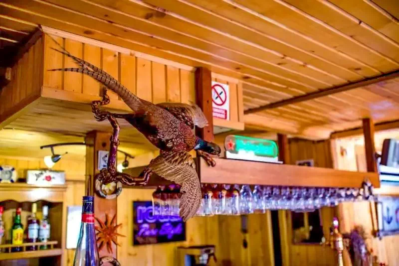 Crișan Cazare | Motel (K1335-5) Imaginea poate fi supusă drepturilor de autor. Se recomandă contactarea titularului drepturilor.